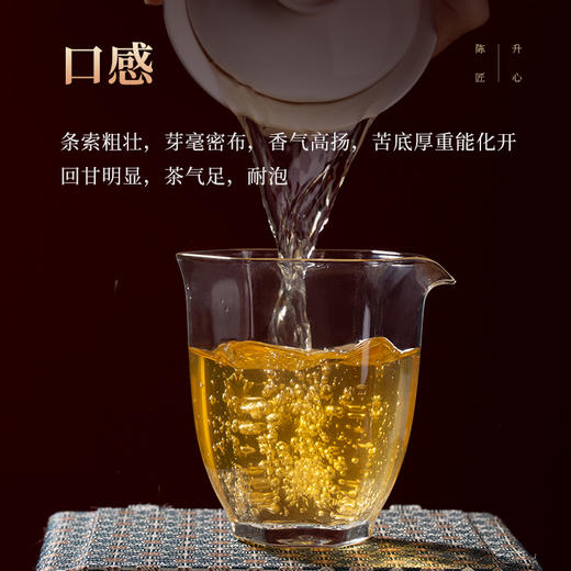 陈升号 2022年陈升匠心357g（生茶） 商品图5