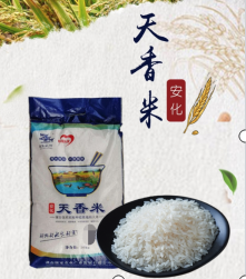 安化广聚—天香米