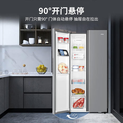 海尔/冰箱/BCD-481WGHSSEDS9U1 商品图1