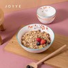 JOYYE系列碗盘套装4人份饭碗4个12*12*6CM    8英寸盘2个21*@！*3.8CM   7英寸小吃盘17.8*17.8*2.5CM   10英寸盘1个蘸料碗2个大汤碗1个芸香木筷子4双 商品缩略图6
