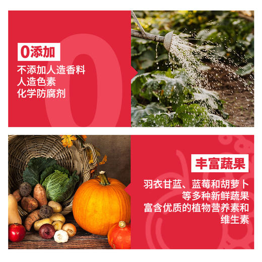 DiamondNaturals美国进口帝尔文天然系列成犬小幼犬期狗粮 商品图4