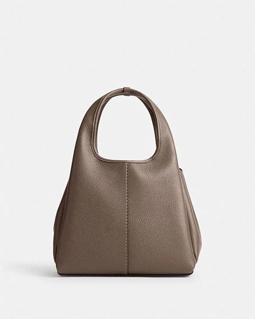 【精品】COACH LANA 23号单肩包 商品图0