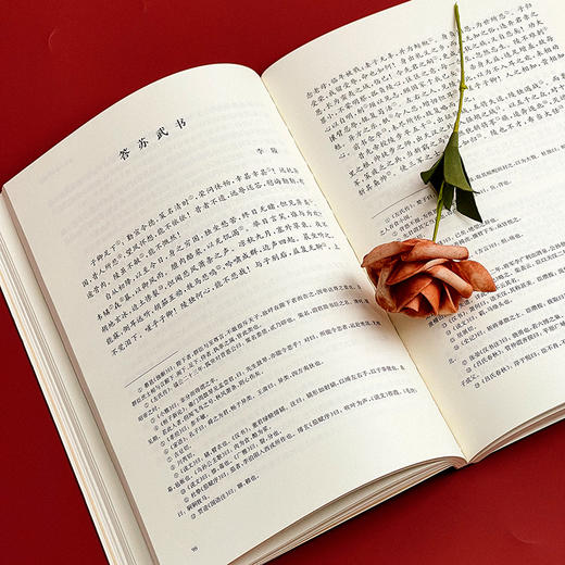 国学名著讲读系列 文选讲读 华东师范大学中文系名师解读国学经典 详细注释 难点分析 文史拓展 商品图12