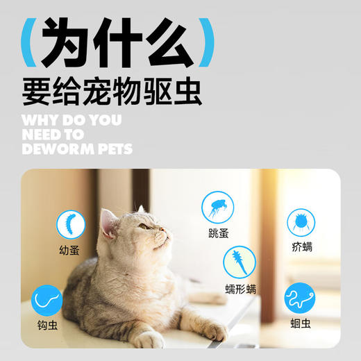 【第二件“半价”】猫犬可用体内外驱虫药猫寄生虫猫用打虫药 吡虫啉莫昔克丁滴剂0.4ml*1支 商品图2