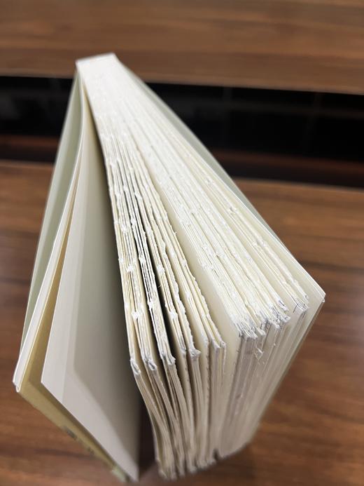 特殊版本  季风之北，彩云之南+人海之间  杨斌著 商品图6