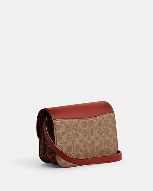 【精品】COACH 经典标志蛇皮革细节IDOL手袋 商品图3