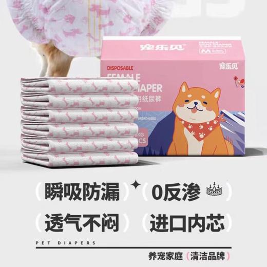 【吸水透气】宠乐见狗狗尿不湿宠物纸尿裤公狗母狗专用生理裤10片 商品图4