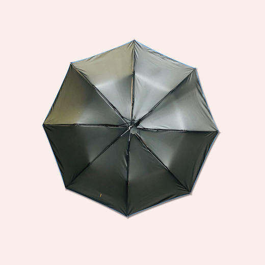 盛世堂·天降雨花晴雨伞 商品图3
