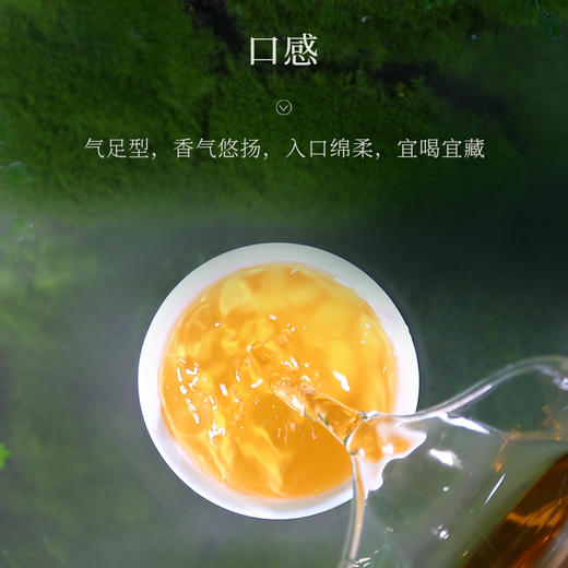 陈升号 2021年陈升一号357g（生茶） 商品图1