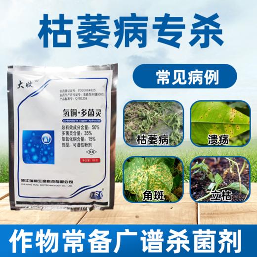 氢氧化铜多菌灵 防治西瓜枯萎病溃疡病角斑病专用农药杀菌剂 商品图4