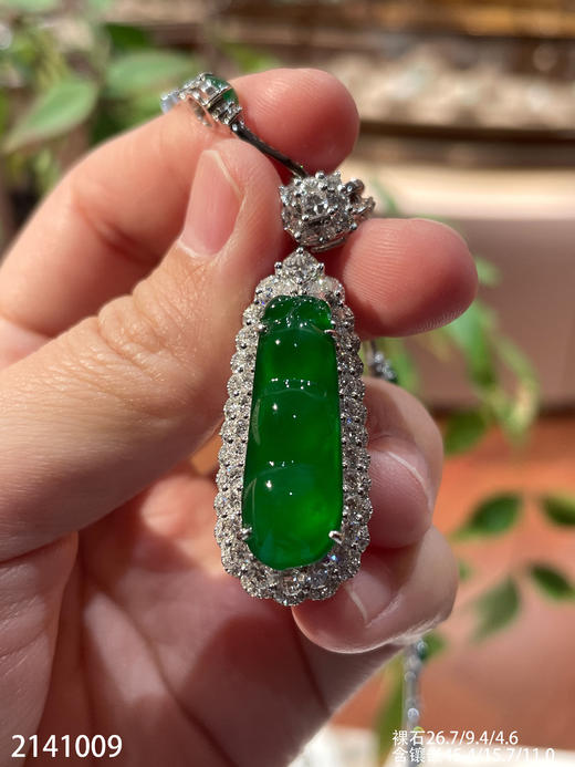 老坑帝王绿福豆吊坠【2141009】具体价格微信咨询 商品图6