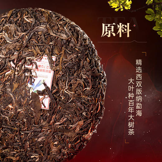 陈升号2023年西双版纳傣族自治州成立70周年纪念茶357g（生茶） 商品图2