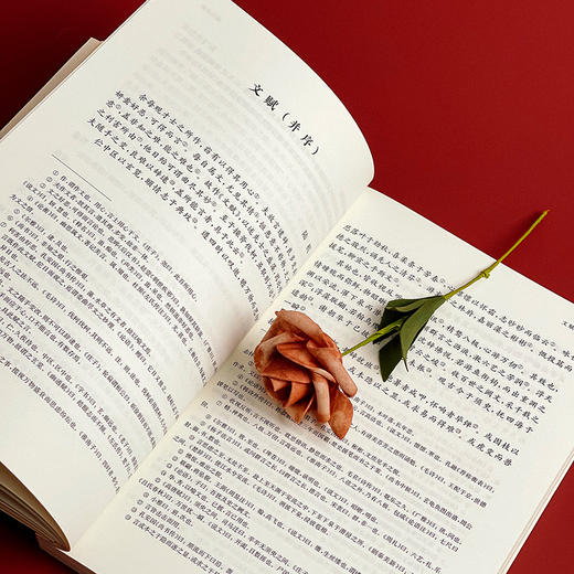 国学名著讲读系列 文选讲读 华东师范大学中文系名师解读国学经典 详细注释 难点分析 文史拓展 商品图11