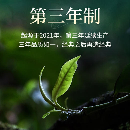 陈升号 2023年陈升孔雀357g（生茶） 商品图4