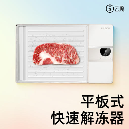 【解冻神器】云顾快速家用保鲜食物解冻机 | 商用食品肉化冻盘牛排恒温 商品图0