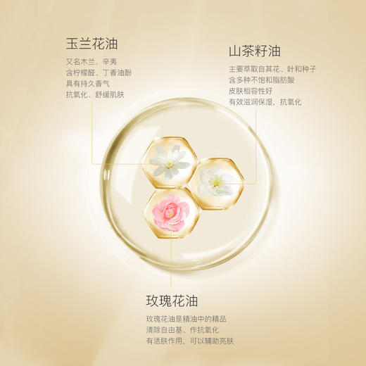 FVE妆前平衡精华油【30ml】 商品图2