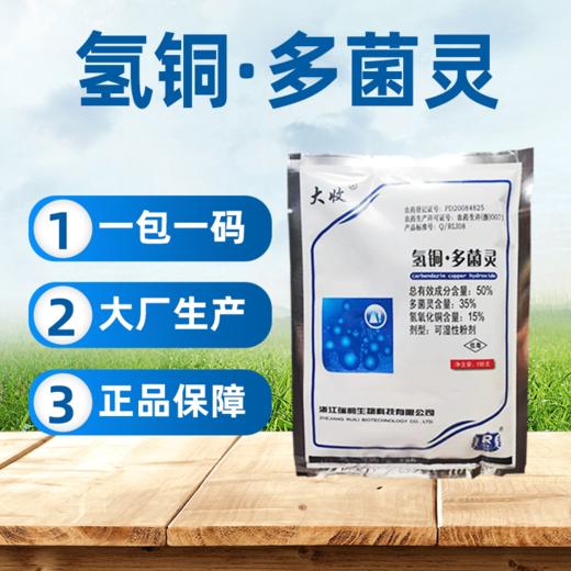 氢氧化铜多菌灵 防治西瓜枯萎病溃疡病角斑病专用农药杀菌剂 商品图2