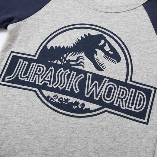 「两款配色」betop童装秋款新品儿童T恤 恐龙打底衫纯棉宝宝体恤男孩子衣服 商品图3