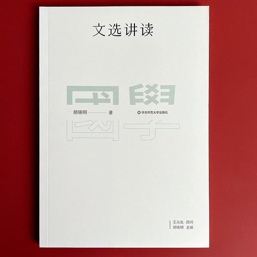 国学名著讲读系列 文选讲读 华东师范大学中文系名师解读国学经典 详细注释 难点分析 文史拓展 商品图1