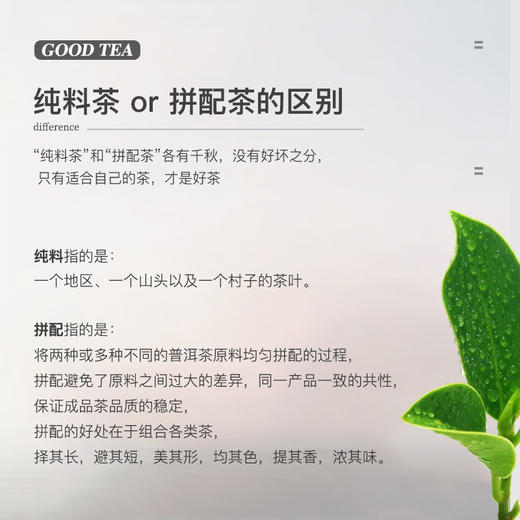 陈升号 2020年霸王青饼357g（生茶） 商品图5