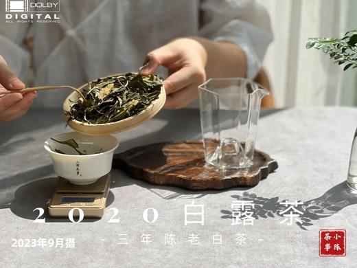 【会员福利拍3发4】2020白露茶，花香隽永、浆感丰沛（60克罐装） 商品图2