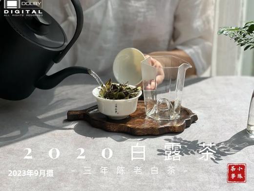 【会员福利拍3发4】2020白露茶，花香隽永、浆感丰沛（60克罐装） 商品图3