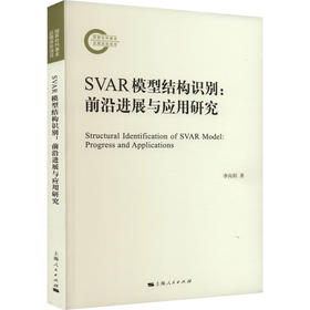 SVAR模型结构识别:前沿进展与应用研究