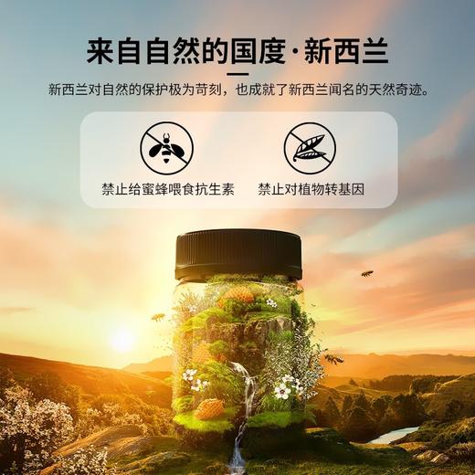 康维他儿童蜂蜜 500g 商品图3