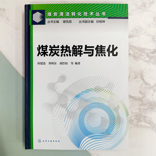 煤炭热解与焦化--煤炭清洁转化技术丛书 商品图2