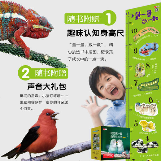我的第一套自然认知书 口袋本（全40册） 商品图4