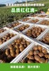 果园直发陕西眉县徐香猕猴桃5斤装 商品缩略图3