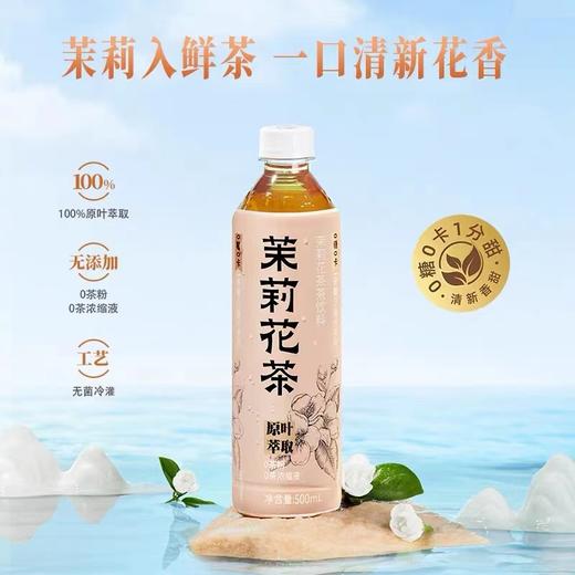 茶小开茉莉花茶纯茶饮料500ml 商品图0