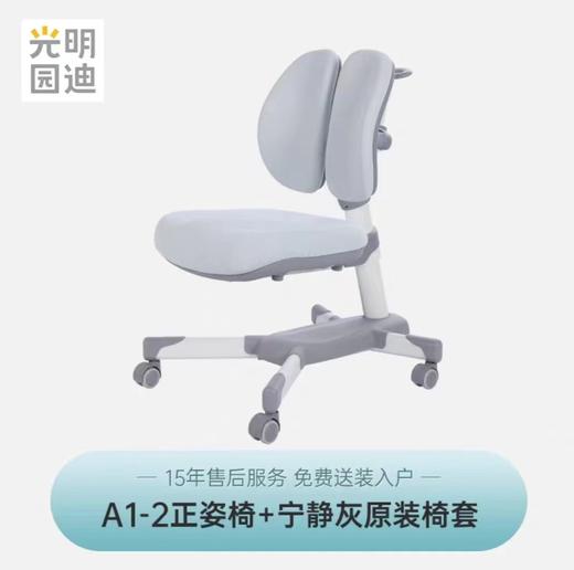 【云粉节】 9楼光明园迪 A1-2 正姿椅  吊牌价1980元 活动价1490元 商品图1