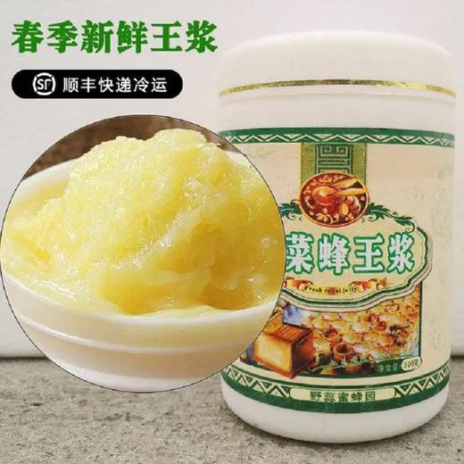 野蕊鲜蜂王浆500g/瓶 商品图0