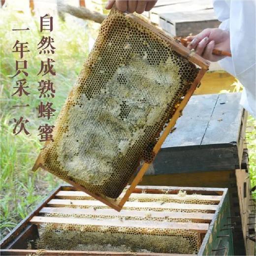 野蕊荆条蜜500g/瓶 商品图3