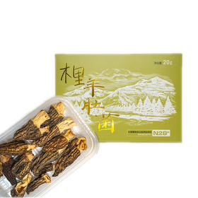 热洛木里羊肚菌20克*2盒