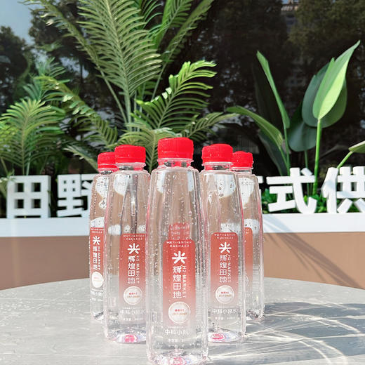 辉煌田地天然小分子水5件装（买五件送一件） 商品图0