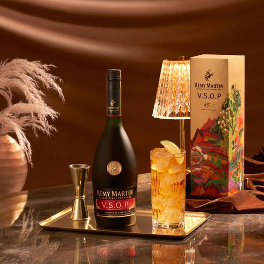 人头马VSOP优质香槟干邑白兰地 岚山跃影中秋礼盒 700ml 商品图2