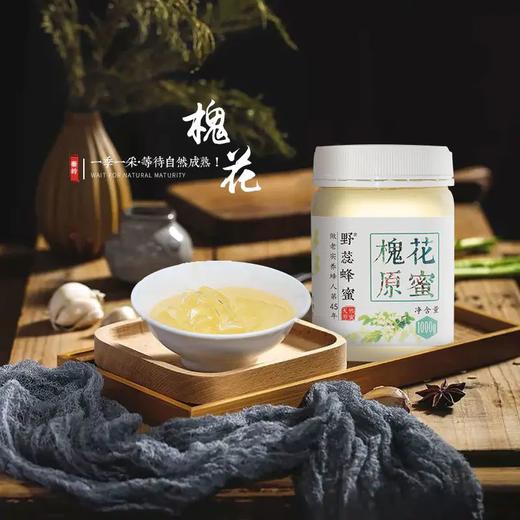 野蕊槐花蜂蜜/槐花原蜜500g/瓶   1000g/瓶 商品图3