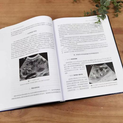 儿童原发性肾小管疾病临床实践：附经典案例分析 商品图1