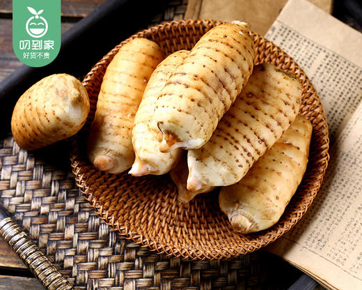 【预售-12月31日配送】云南昭通小草坝原生鲜天麻/1份（5-7个，共约500g） 商品图4