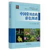 中国常用苗药彩色图谱 罗君 唐东昕 赵琳珺 主编 中国中医药出版社 333种常用苗族药  751幅原植物彩色图谱 商品缩略图4