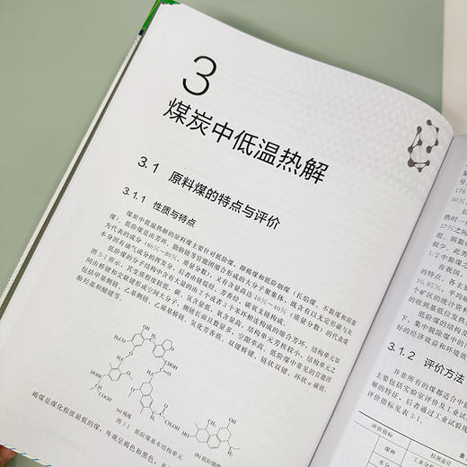 煤炭热解与焦化--煤炭清洁转化技术丛书 商品图5