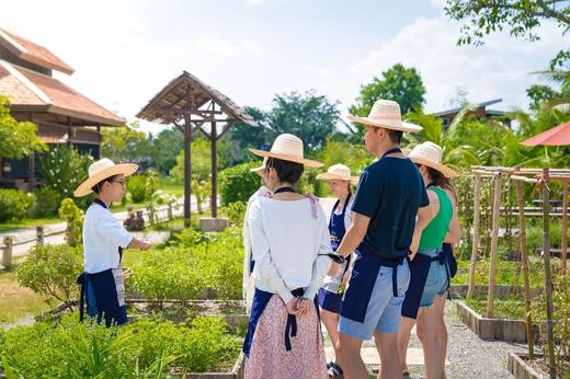 【Chill玩泰国】清迈奶奶厨房 中/英教学 参观菜市场 独立烹饪台和烹饪材料中文烹饪食谱 商品图6