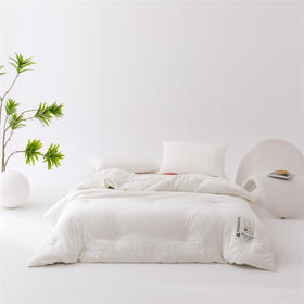 顶柔明星艾豆被，软糯亲肤好触感，舒适轻软不压身，锁温保暖更惬意