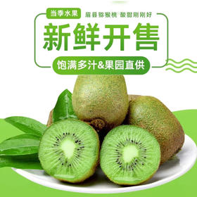 果园直发陕西眉县徐香猕猴桃5斤装