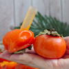 陕西火晶柿子  鲜嫩丝滑  可以吸着吃 商品缩略图5