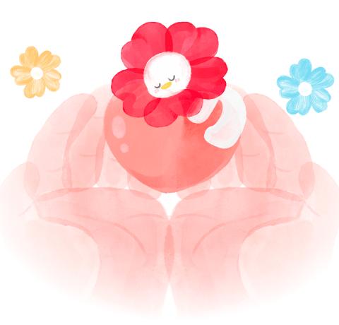 1.11专场加购100测试-小熊-100 商品图0