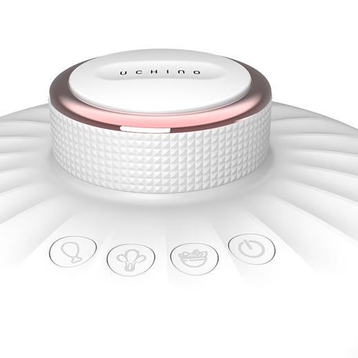 内野（UCHINO）HU-HYZ20-01 真空腌制机（单位：个） 商品图1