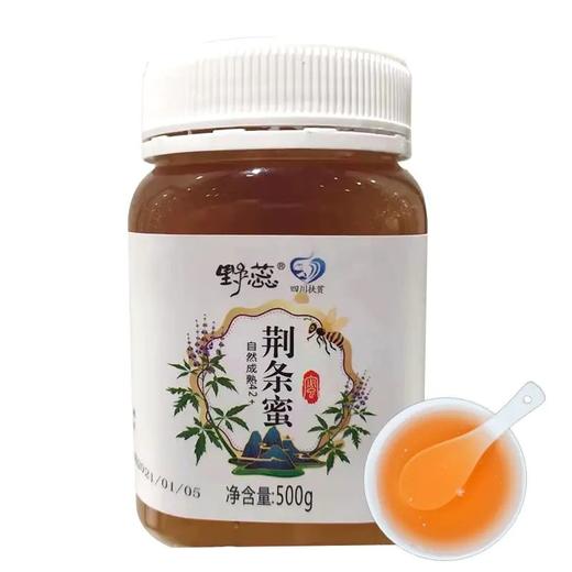 野蕊荆条蜜500g/瓶 商品图0